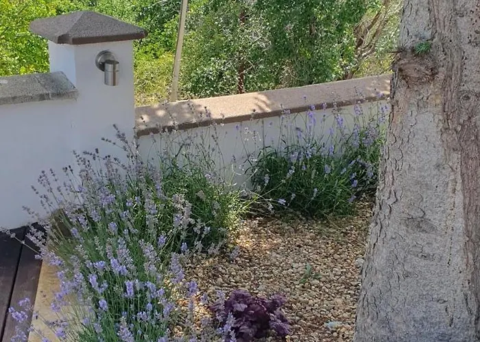 Aquamarine House Vilă